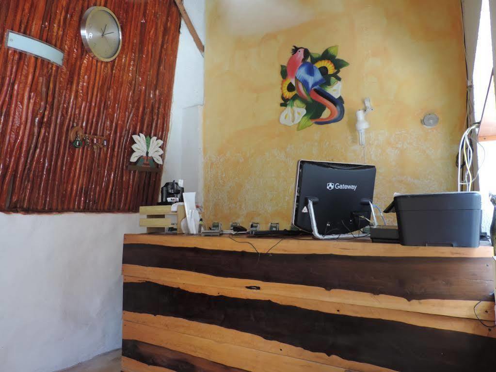 Golden Paradise Town Ilha Holbox Exterior foto